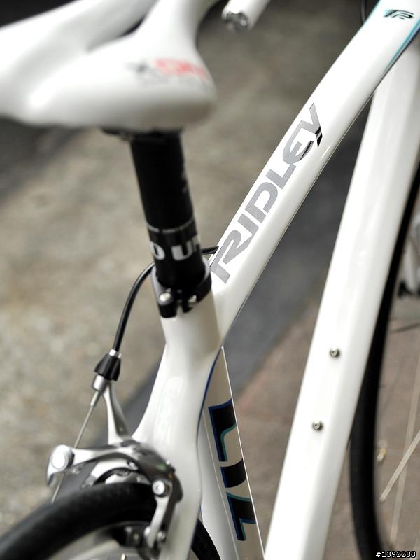 (更新交車照片)終於開箱了...比利時 RIDLEY  LIZ..全台首發...