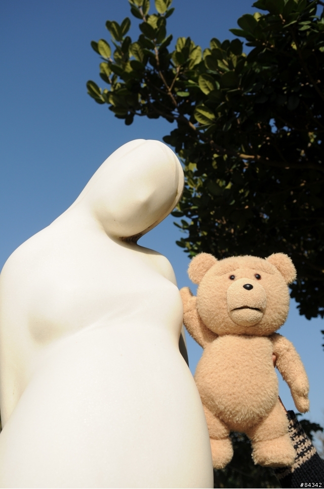 TED (圖多)