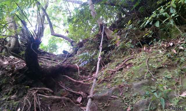 20130121 永定煤礦 永定坑山 鳥嘴岩 鳥嘴山 皇帝殿北峯登山口 O型健走