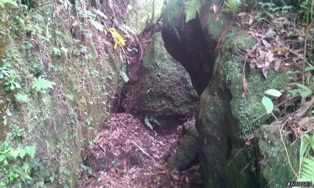 20130121 永定煤礦 永定坑山 鳥嘴岩 鳥嘴山 皇帝殿北峯登山口 O型健走