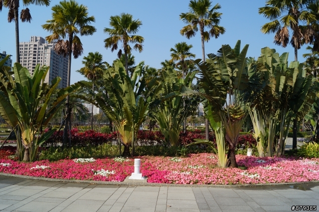 附近公園練拍