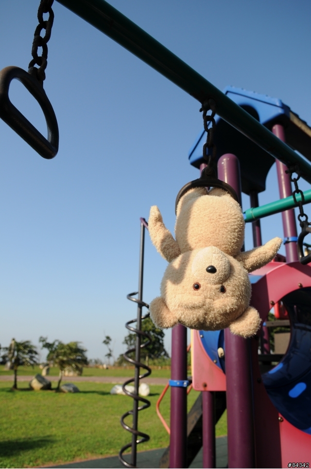 TED (圖多)