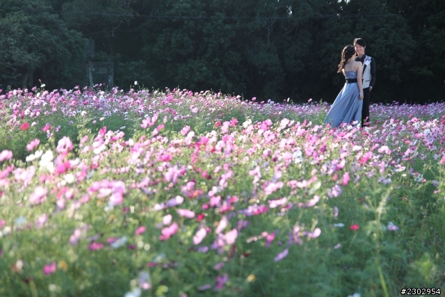 canon650D-2012亂拍回顧(大部分都是騰龍A16)