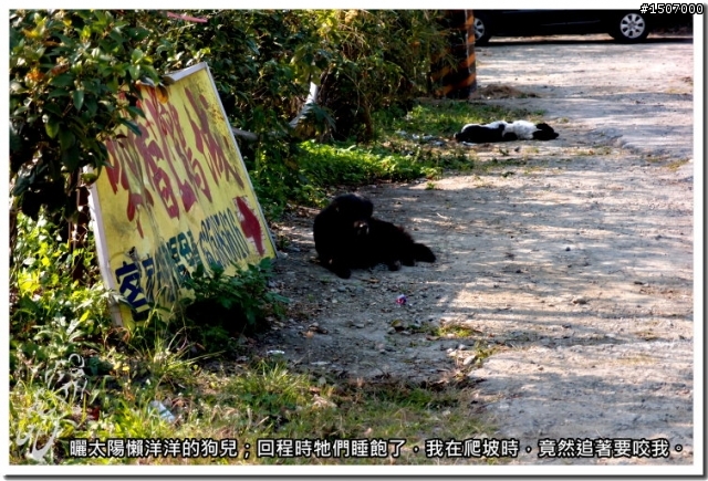 苗栗卓蘭白布帆峽谷趴趴照...