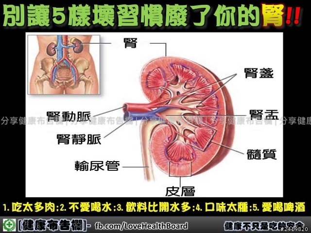 別讓5件事廢了你的腎