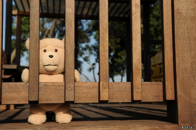 TED (圖多)