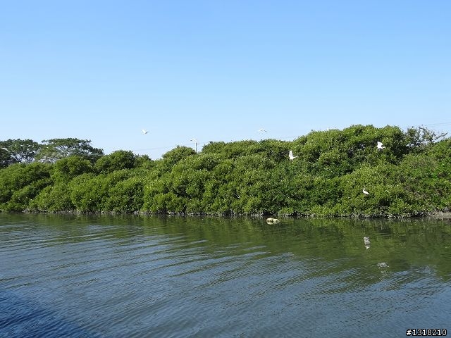 親子旅遊-四草安平行