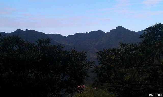 20130121 永定煤礦 永定坑山 鳥嘴岩 鳥嘴山 皇帝殿北峯登山口 O型健走