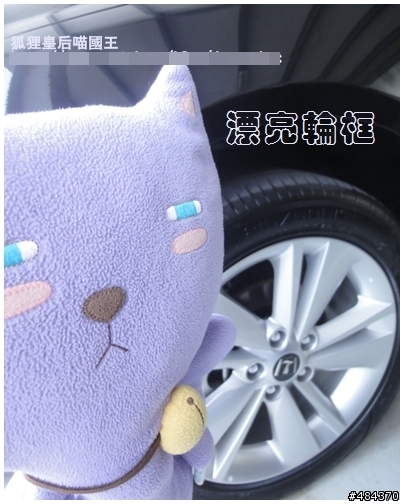 狐狸皇后喵國王之 黑色ANGER BIRD 的逆襲