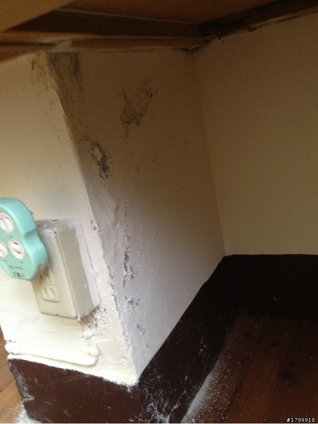 這個問題很多人都會有,漏水加壁癌問題,這是條不知走不走得到終點的路,而我開始走了