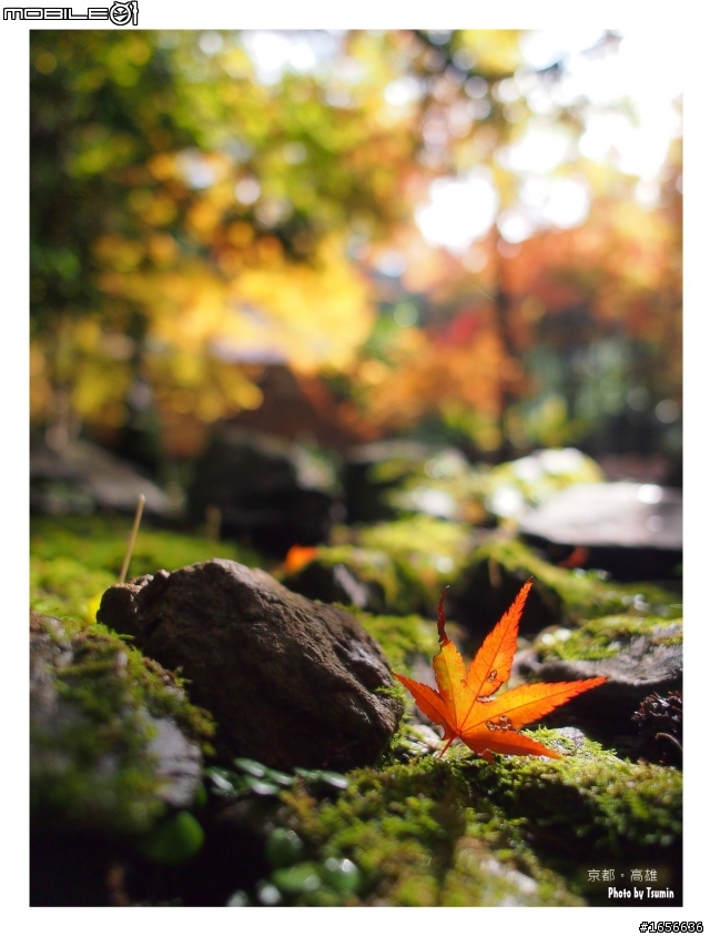 2012 關西楓旅