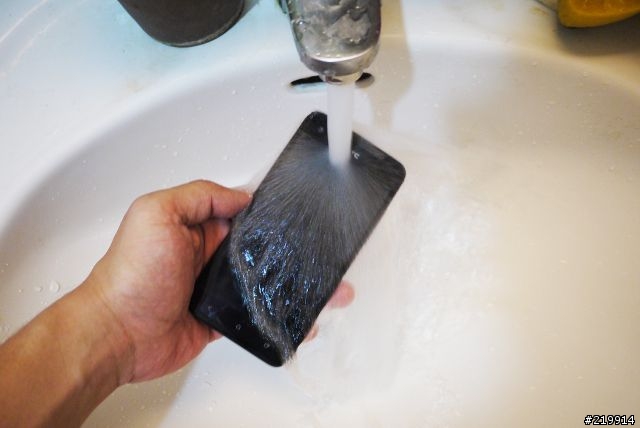 [分享]蝴蝶髒了怎麼辦? 洗澡洗一洗就好~