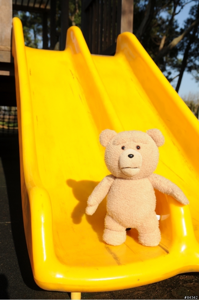 TED (圖多)