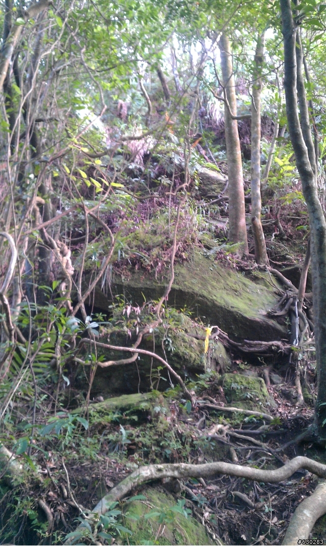 20130121 永定煤礦 永定坑山 鳥嘴岩 鳥嘴山 皇帝殿北峯登山口 O型健走