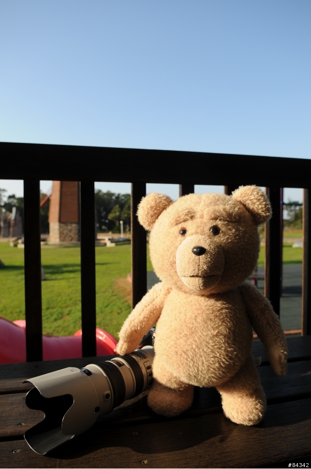 TED (圖多)