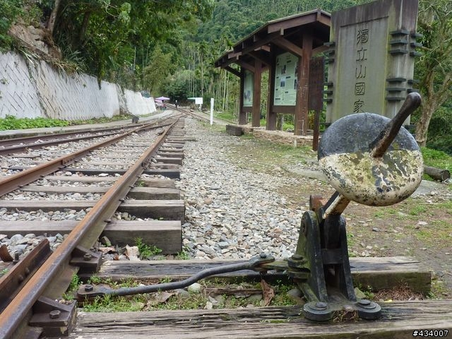 1/12~13梅山龍興宮，青心烏龍伴我行