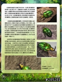 iOS 夏日童趣來襲！ 新作上市心得評測