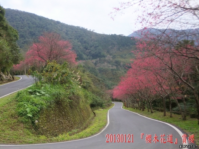 20130121  烏來福山賞櫻之旅