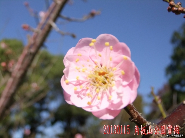 20130115  角板山石門水庫之旅