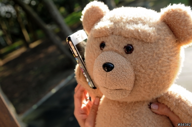 TED (圖多)