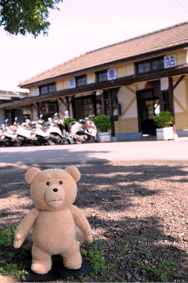 TED (圖多)