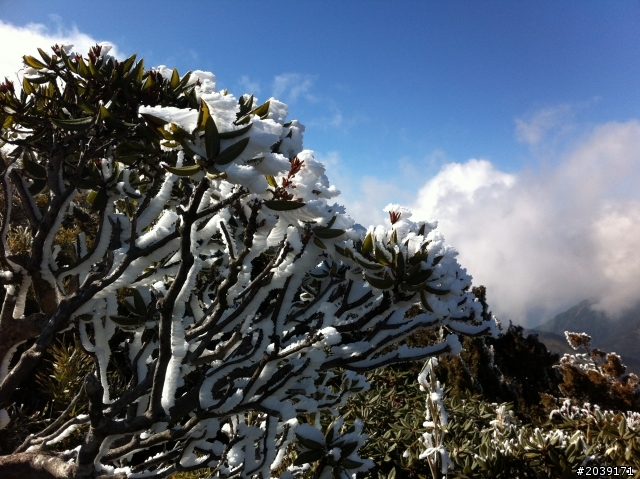 {漫~典}~送給自己的生日禮物~武嶺&合歡山主峰~20130118
