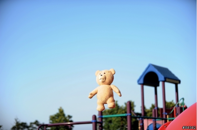 TED (圖多)