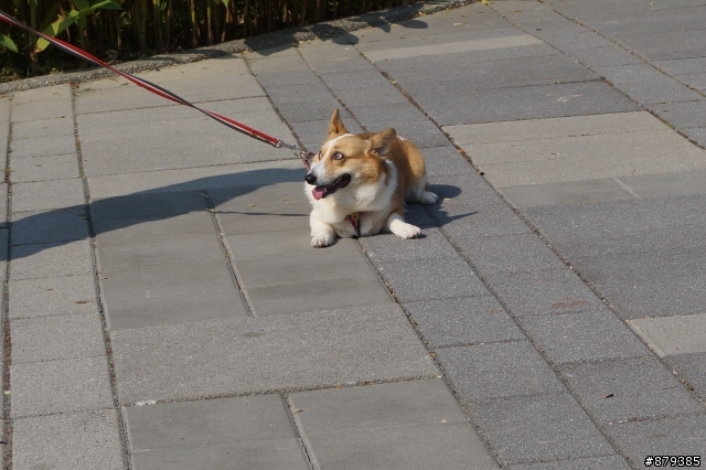 附近公園練拍