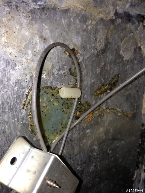 烘碗機該洗一洗了