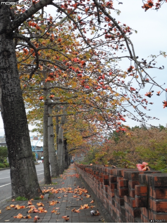 【旅遊圖文】探訪豐原公老坪、新社產業道路旅遊行程