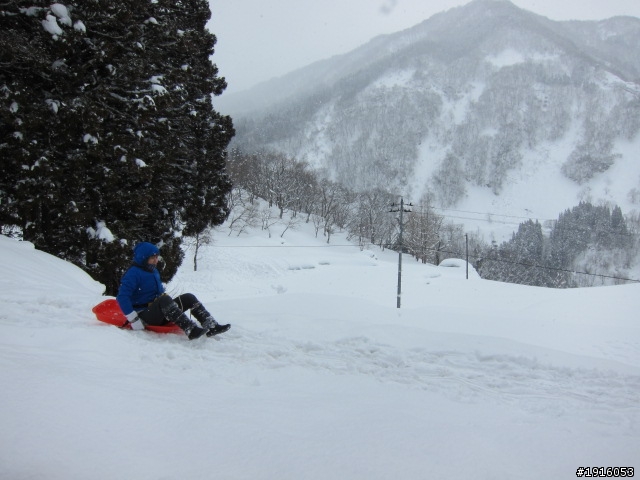 はとバス之旅：飛騨高山/白川郷/五箇山/能生