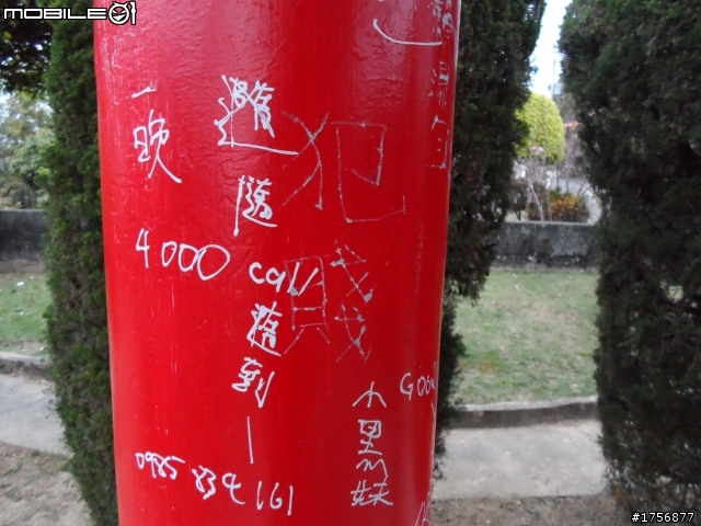 【旅遊圖文】探訪豐原公老坪、新社產業道路旅遊行程