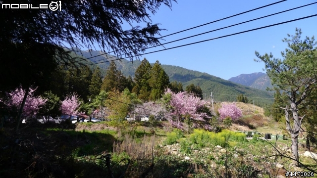 瘋狂舉指! 狂樂遊 NO3  武陵農場拜訪春天