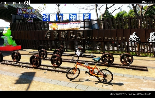 黑蝴蝶春節旅遊試拍(有圖)