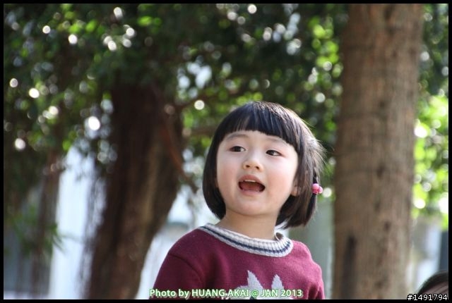 【騰龍 Tamron 18-270mm F/3.5-6.3 Di II VC PZD B008】最高規旅遊鏡新進化開箱心得