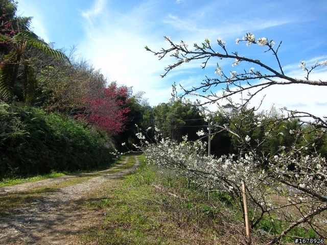 騎車~南部山區放空一日遊