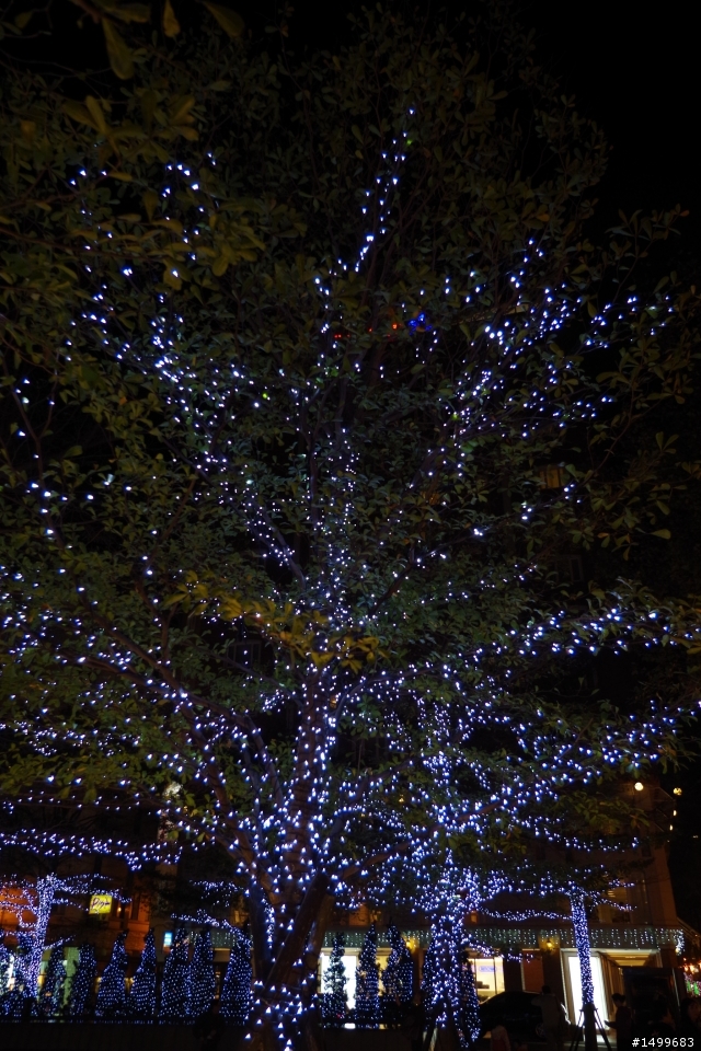 K-30 DA18-55 台北小叮噹展