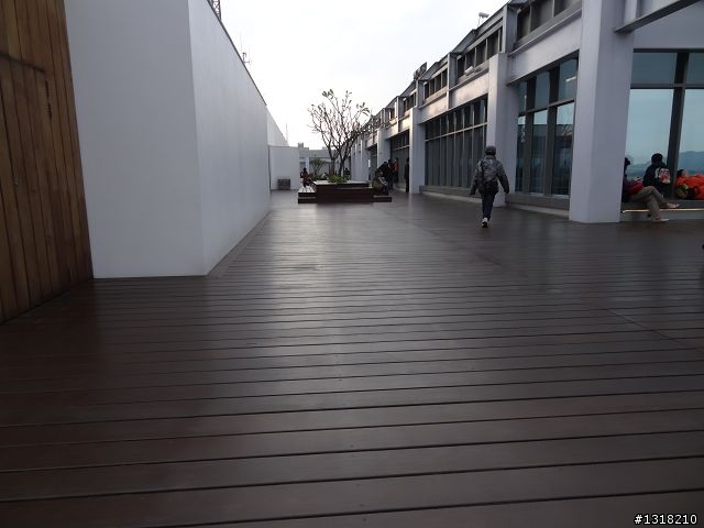 親子旅遊-新春台北自由行(4)-育樂花博松機行