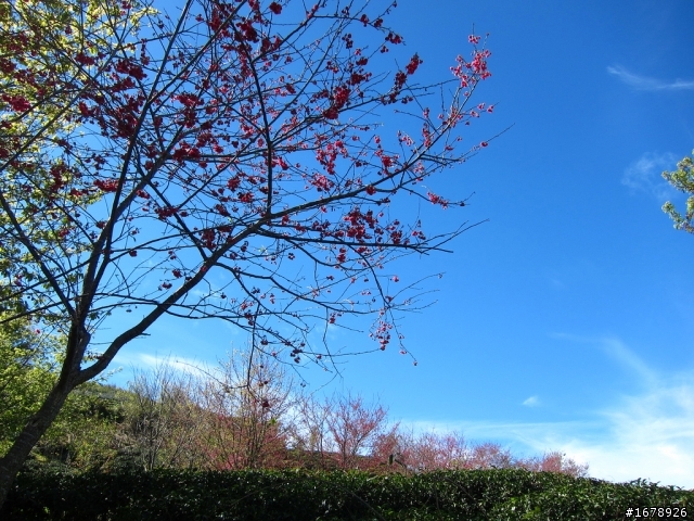 騎車~南部山區放空一日遊