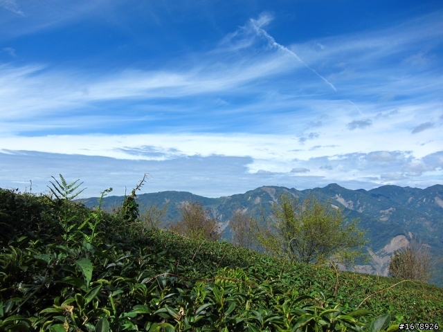 騎車~南部山區放空一日遊