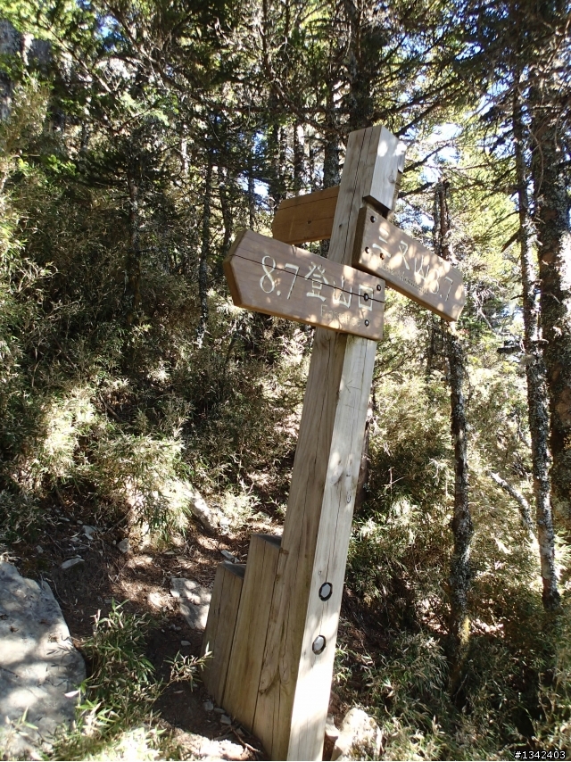 春節三叉山,向陽山,嘉明湖( 簡單分享還是很多圖)