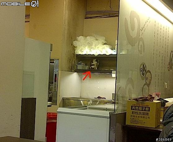 鮮芋仙 中壢新明店 --店裡面養貓!