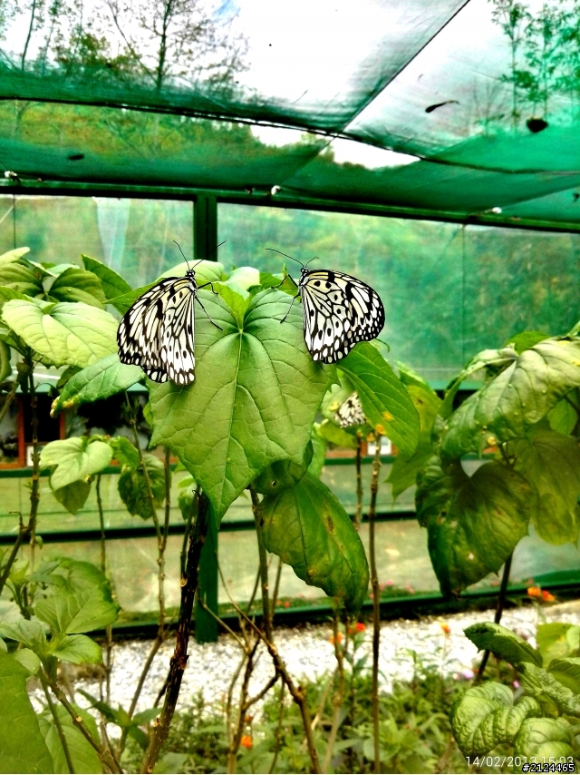 THL W7 用360相機拍風景照超美的~~~