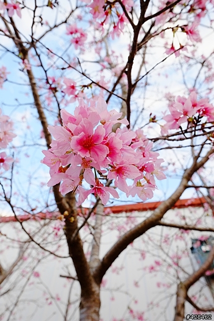 XE-1 + XF14/2.8