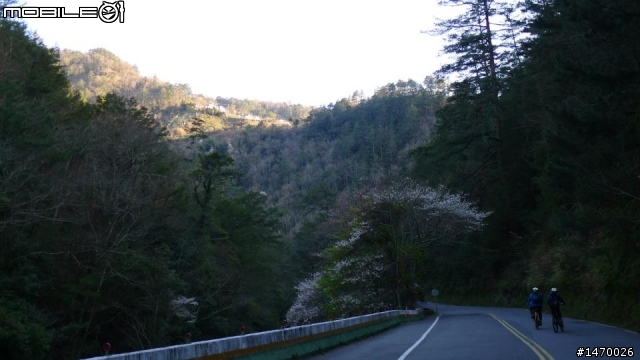 瘋狂舉指! 狂樂遊 NO3  武陵農場拜訪春天