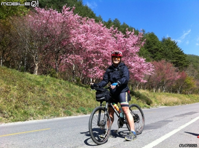 瘋狂舉指! 狂樂遊 NO3  武陵農場拜訪春天