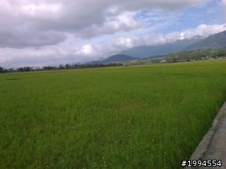 花東趴趴走最前線抱抱(台東篇)6天5夜