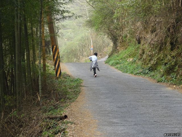 親子旅遊-竹山鹿谷體驗行