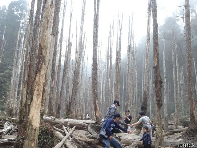 親子旅遊-竹山鹿谷體驗行