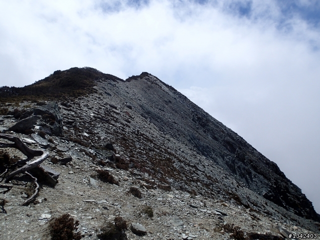 春節三叉山,向陽山,嘉明湖( 簡單分享還是很多圖)